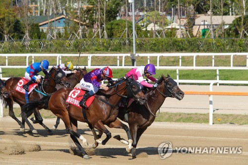 국내 사행산업 규모 22.4조…3.1% 성장