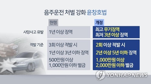 조사관 판단에 좌우되는 제1윤창호법…경찰 가이드라인 만든다