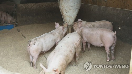 [특징주] '돼지에게 잔반 먹이 금지'에 사료주 강세(종합)