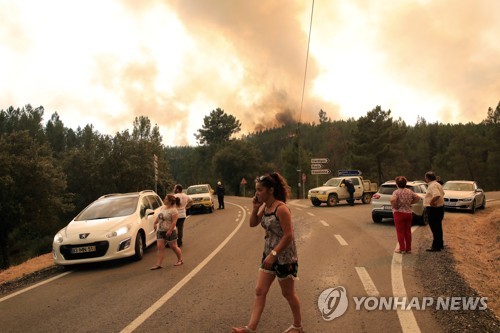 포르투갈 중부서 대규모 산불…"최소 20명 부상"