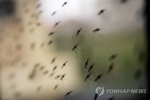 "동남아시아서 치료약에 내성 가진 말라리아 병원균 확산"