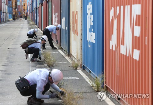 외래 병해충 검역 사각지대 빈 '컨' 소독·세척 의무화 필요