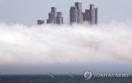 부산환경운동연합 "부산시, 용적률 인센티브 상한선 환영"