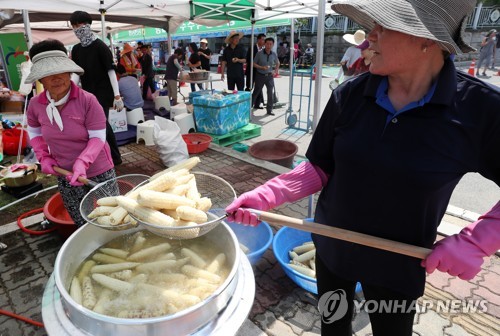 홍천에서 만난 찰옥수수와 수제맥주의 이색 조합