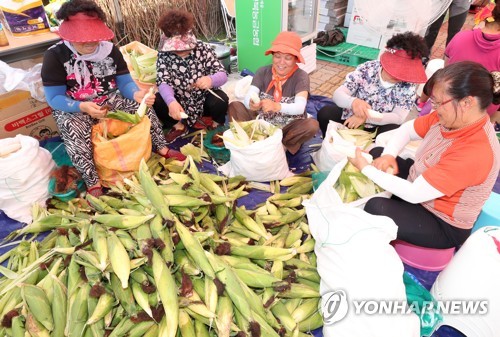 [#꿀잼여행] 강원권: '주룩주룩' 빗소리 선율에 수제 맥주 한잔이면 '캬∼'