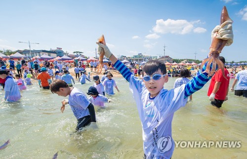 [#꿀잼여행] 강원권: 혼자여도 함께여도 마냥 좋은 여름 바다…밤에도 '풍덩'