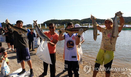 양양군, 송이·연어축제 기본계획 확정