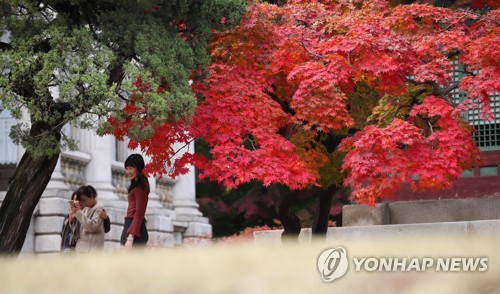 "체계적 복원·개방 확대로 고궁·왕릉 1500만명 달성"