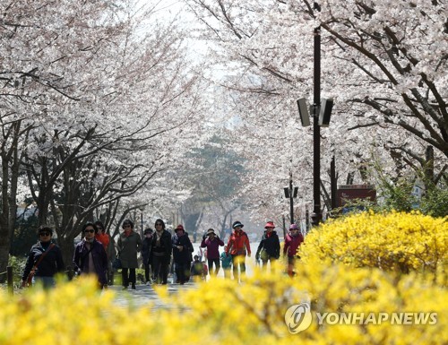 '왕홍' 효과…울산 관광지, 틱톡·웨이보서 '2천만 뷰'