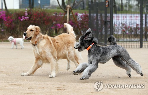 노지 스마트팜·반려동물 훈련지도…농식품 일자리 확대