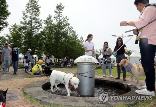 시골 장터 개·고양이 판매 불법 논란…'반려동물' 여부가 관건