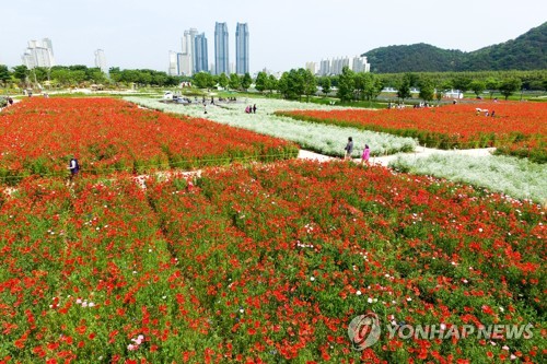 [지방정가 브리핑] 울산 한국당 "태화강 국가정원 환영…경제회생 기대"