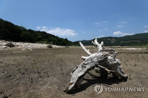 곡창지대 가뭄 해갈 비상…철원군, 긴급 용수공급 추진