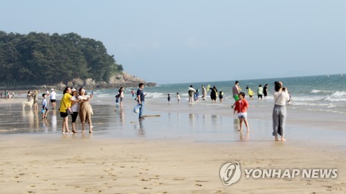 보령 대천 등 충남 해수욕장 33곳 수질 기준 적합