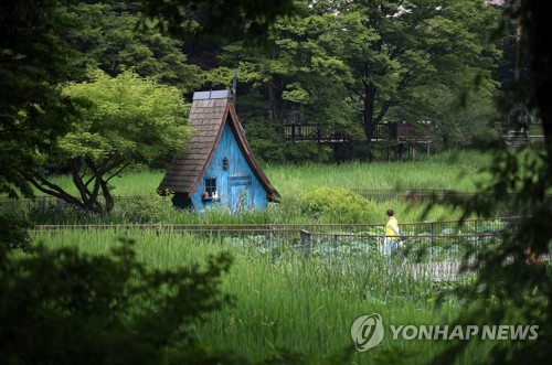 "어제보다 더워요" 서울 31도·대구 33도…일부지역 폭염주의보