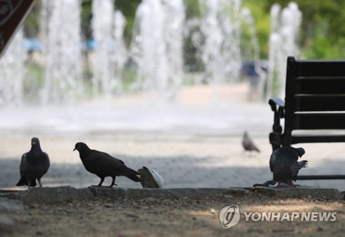 전북 5개 시·군 올해 첫 폭염주의보…익산 34도 기록(종합)