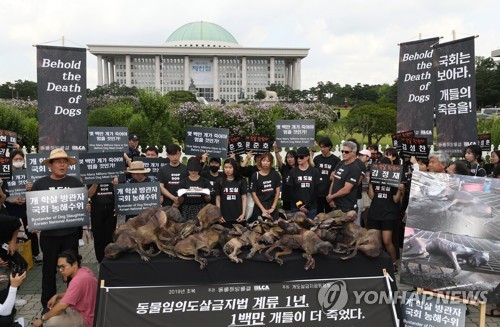 복날 개고기 찬반집회 "개들에게 도움을" vs "법제화해야"