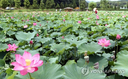 후텁지근하고 흐려도 바다·산으로…주요 관광지도 피서객 북적