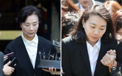 '가사도우미 불법고용' 한진그룹 이명희·조현아 오늘 선고