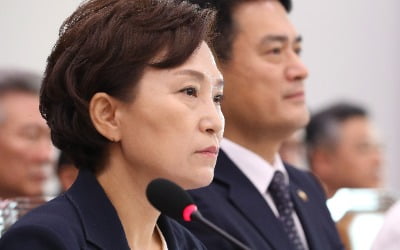 김현미 국토부 장관 "민간택지 아파트도 분양가 상한제 도입"