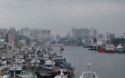 전국 흐리고 비…낮 최고기온 26∼31도