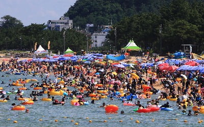 어린이용 래시가드, 건조속도·변색 품질 '천차만별'