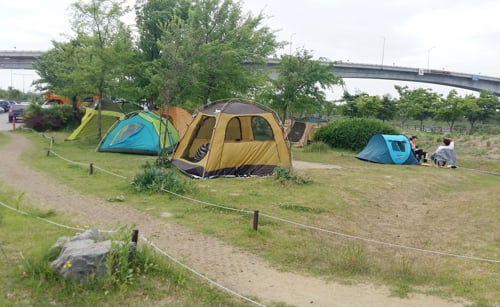 경기도, 오늘부터 미등록 야영장 불법행위 집중수사 실시