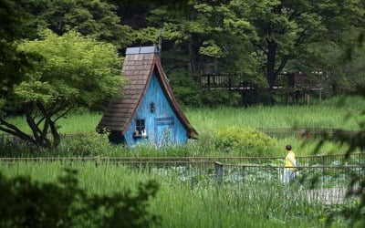 "어제보다 더워요" 서울 31도·대구 33도…일부지역 폭염주의보