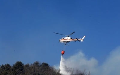 원주 야산서 산불…1시간 20여분 만에 진화