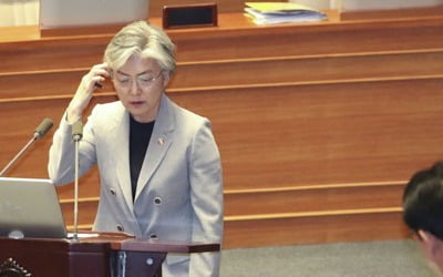 강경화 "日, 수출규제 '부적절 사안' 설명 제공 안해"