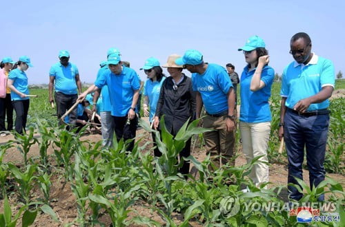 유니세프 "韓공여금으로 대북구호품 구매…강력한 분배 감시"