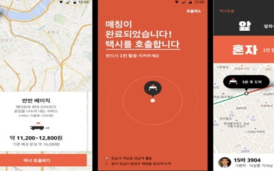 '택시동승 중개 앱'·'블록체인 송금' 나올까…규제심의위 개최