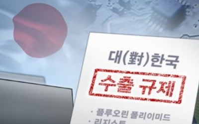 "日정부, 韓 전략물자 수출관리 분석…우려 사항 조회 방침"