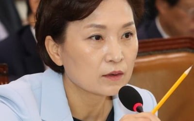 김현미 "분양가 상한제 시행령 준비 중…전매제한 확대 검토"