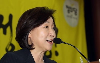 심상정, 노회찬 묘소 찾아 "함께 꾸었던 꿈 당당히 실현"