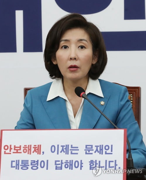 나경원 "국익 대신 선동·자극·분열…외교라인 교체 빨리해야"