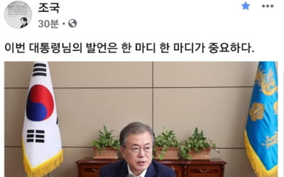 조국 "대통령 발언 한마디 한마디 중요"…잦아진 '페북글'