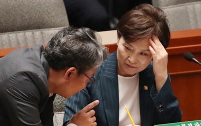 김현미 "분양가 상한제, 부작용 없는 방향으로 잘 준비"