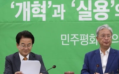 평화, 당 진로 놓고 '끝장토론'…제3지대 창당론 향배 '기로'