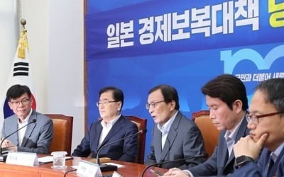 당청 "日수출규제 대응 위해 규제완화·필요시 대일특사 검토"