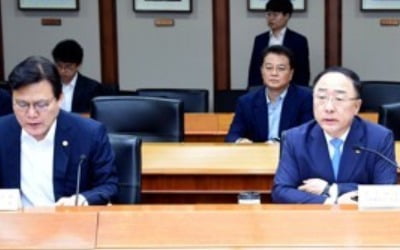 홍남기 "日 수출통제 철회하고 협의해야…소재산업 강화안 마련"