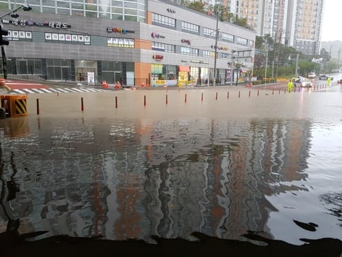 부산 최대 500㎜ 물 폭탄 예보…20일 저녁 태풍 최근접