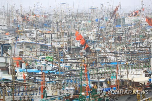 태풍 '다나스' 접근…남부지방 강풍·호우 "철저히 대비해야"