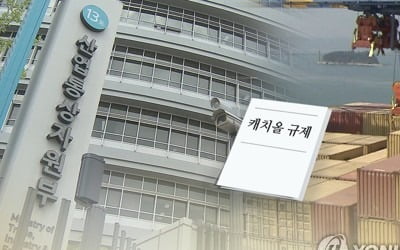 내주 日 수출규제 '분수령'…백색국가 제외 저지 전방위 노력