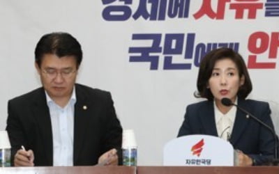 나경원 "철없는 친일프레임 집착…어린애 같은 정치 그만둬야"