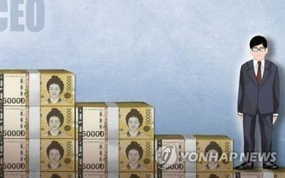 한국 '연봉 톱20' 과반이 오너…美·日은 대부분 전문경영인