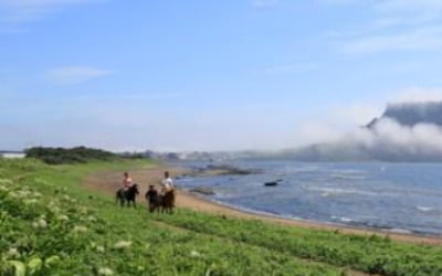 "지난해 국민평균 국내여행 6.9회, 지출액은 96만원"