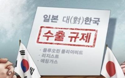 日 '백색국가' 한국 제외 의견 모집에 3만여건 접수…"이례적"