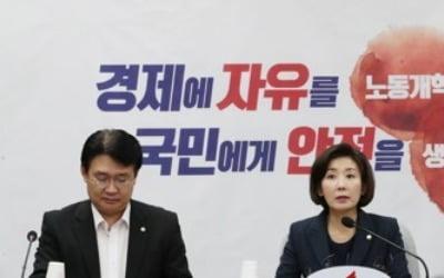 나경원 "안보국회, 靑에 집중질의…현금살포성 예산 대폭삭감"