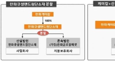 한화케미칼 "종속회사 한화큐셀앤드첨단소재 분할후 합병"